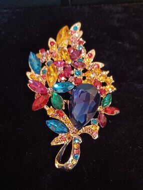 Colorful 4 Inch Brooch